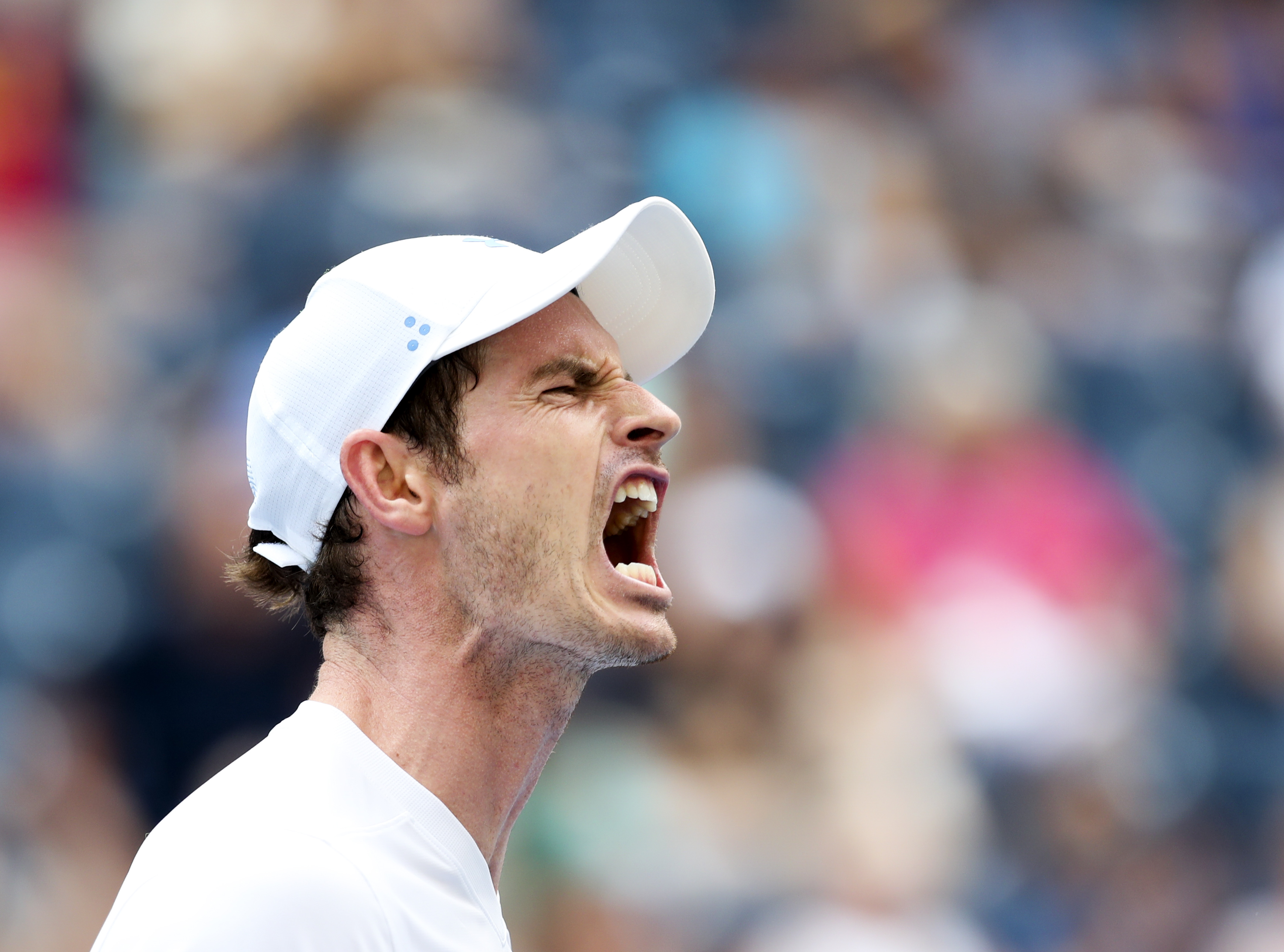 ng28-关于穆雷迎来二十赛季高光表现，MAD球迷沸腾！的信息