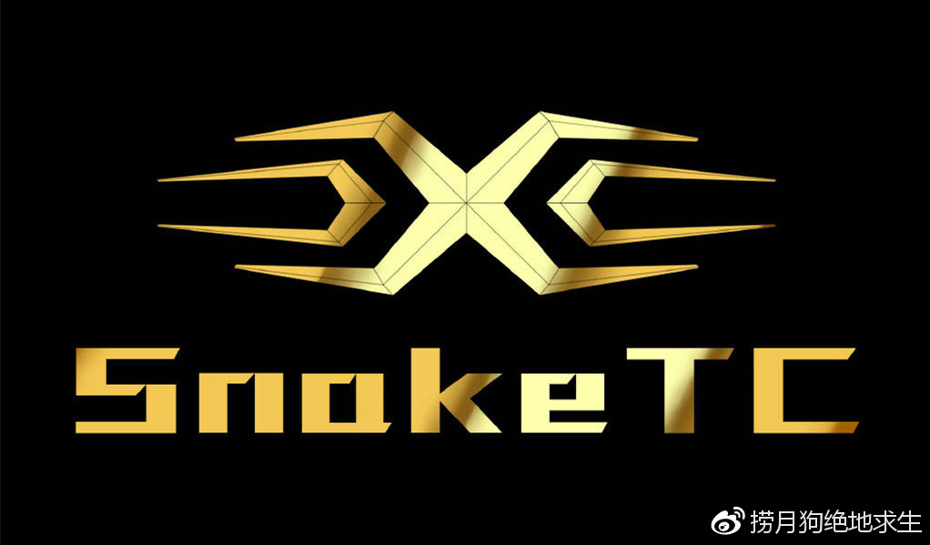 ng28娱乐-关于Karsa关键节点战术调整，TL带队取胜！的信息