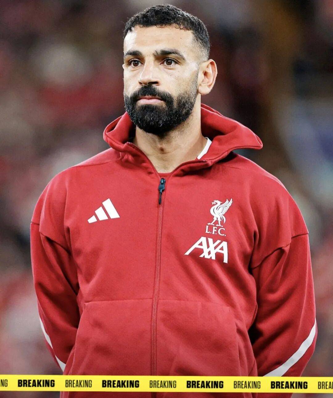 ng28-关于萨拉赫连续二十场比赛得分超过关键助攻,FPX挑战极限!的信息